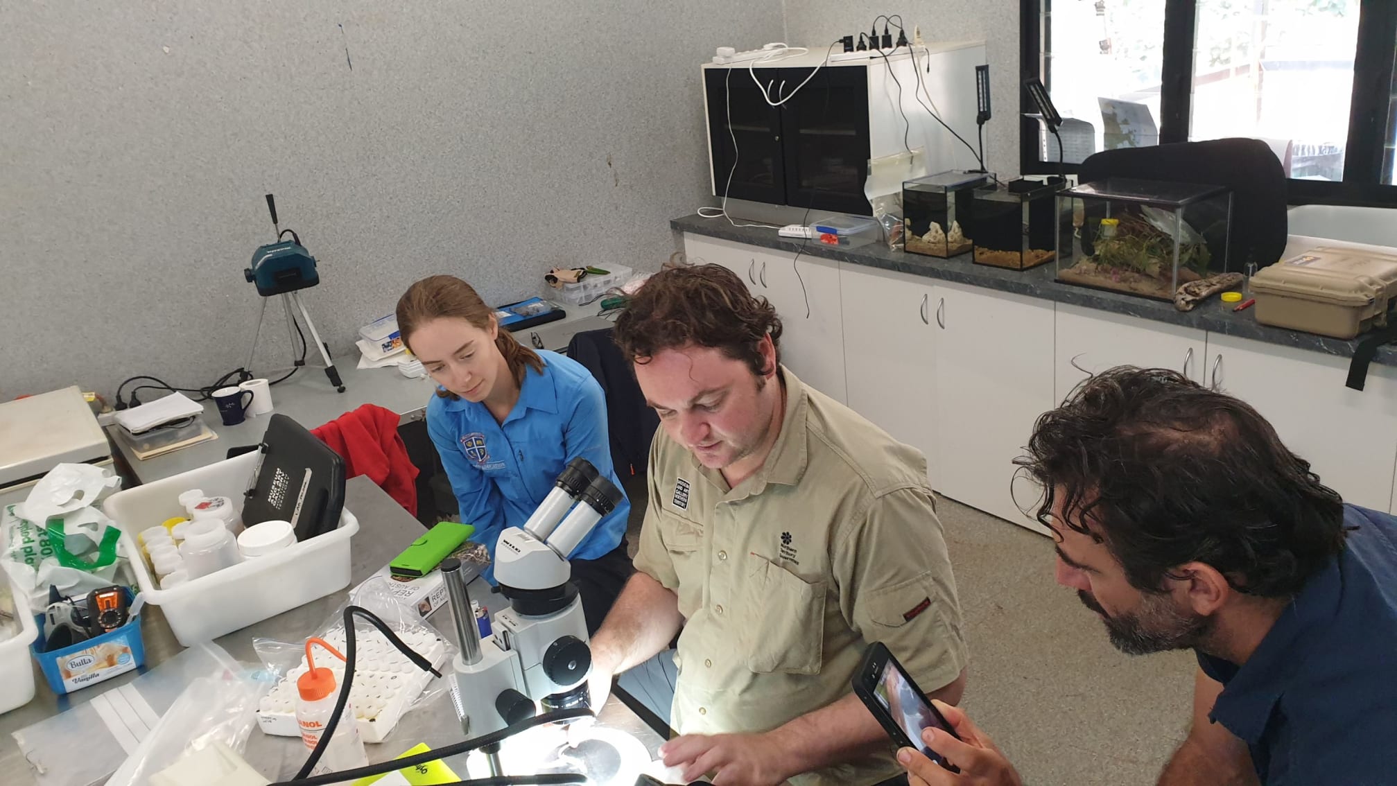Species discovery on Groote Eylandt Teachers Rangers Researchers image 2