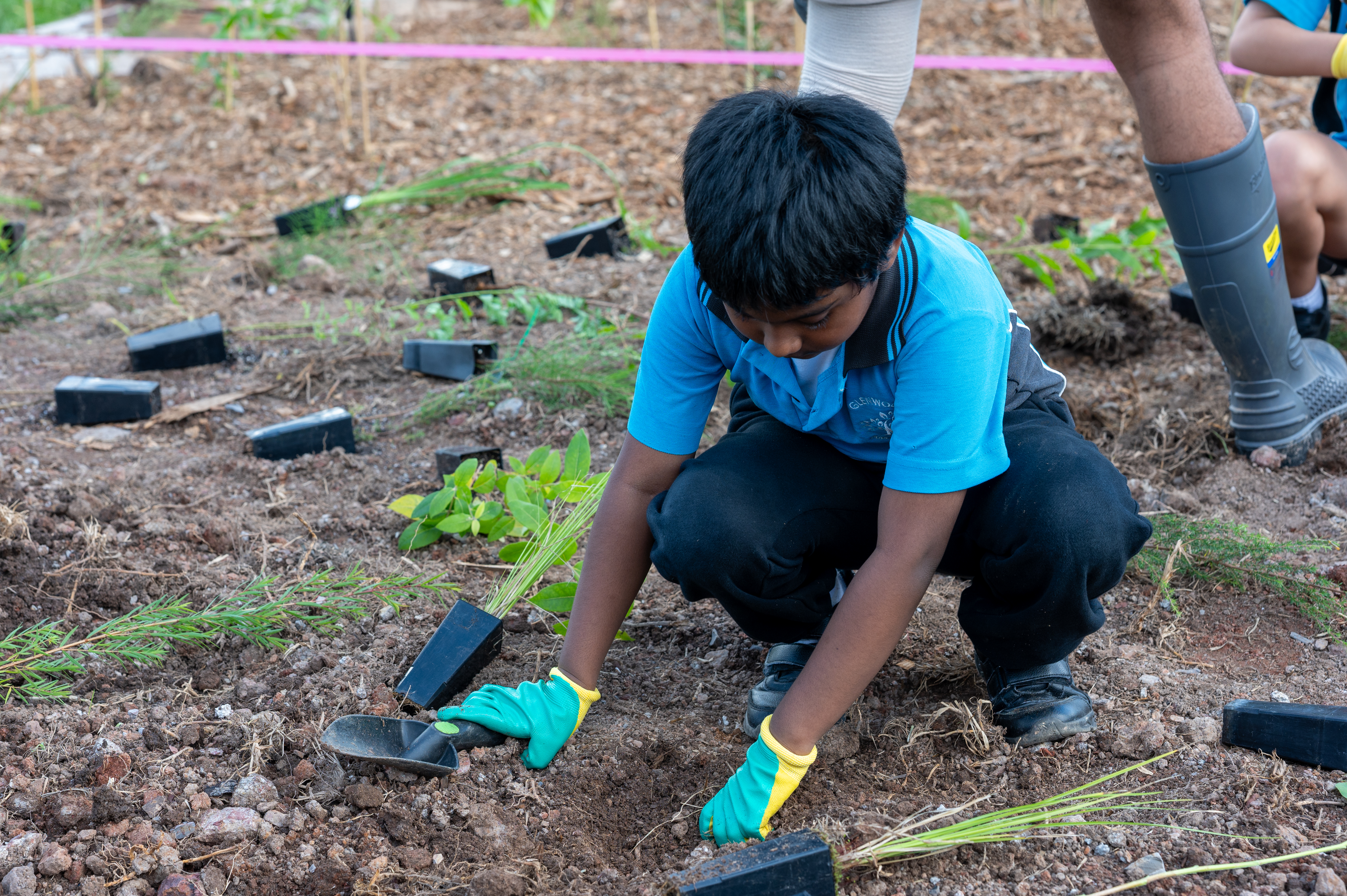 Planting a Greener Future: Campbelltown’s First Tiny Forest Takes Root