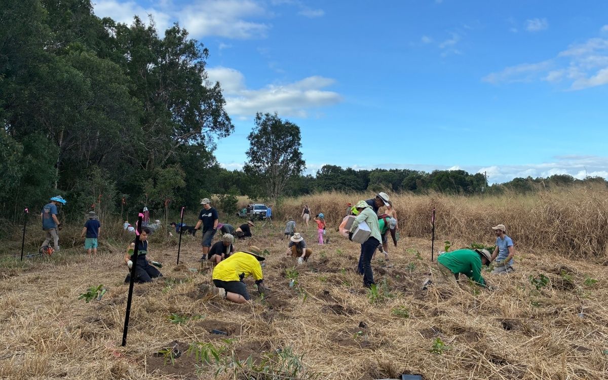 Planting a Greener Future: Campbelltown’s First Tiny Forest Takes Root