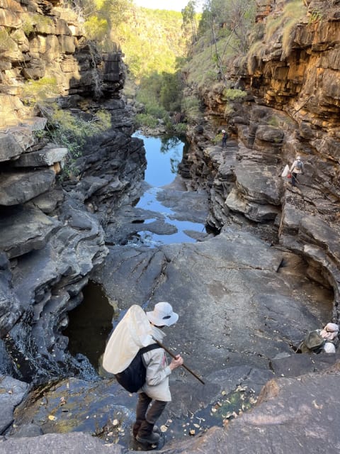 Base of Grevillea Gorge 