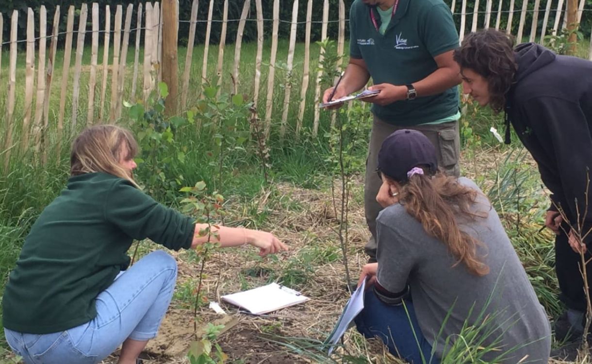 Carbon Positive partnership brings biodiversity to Australian cities