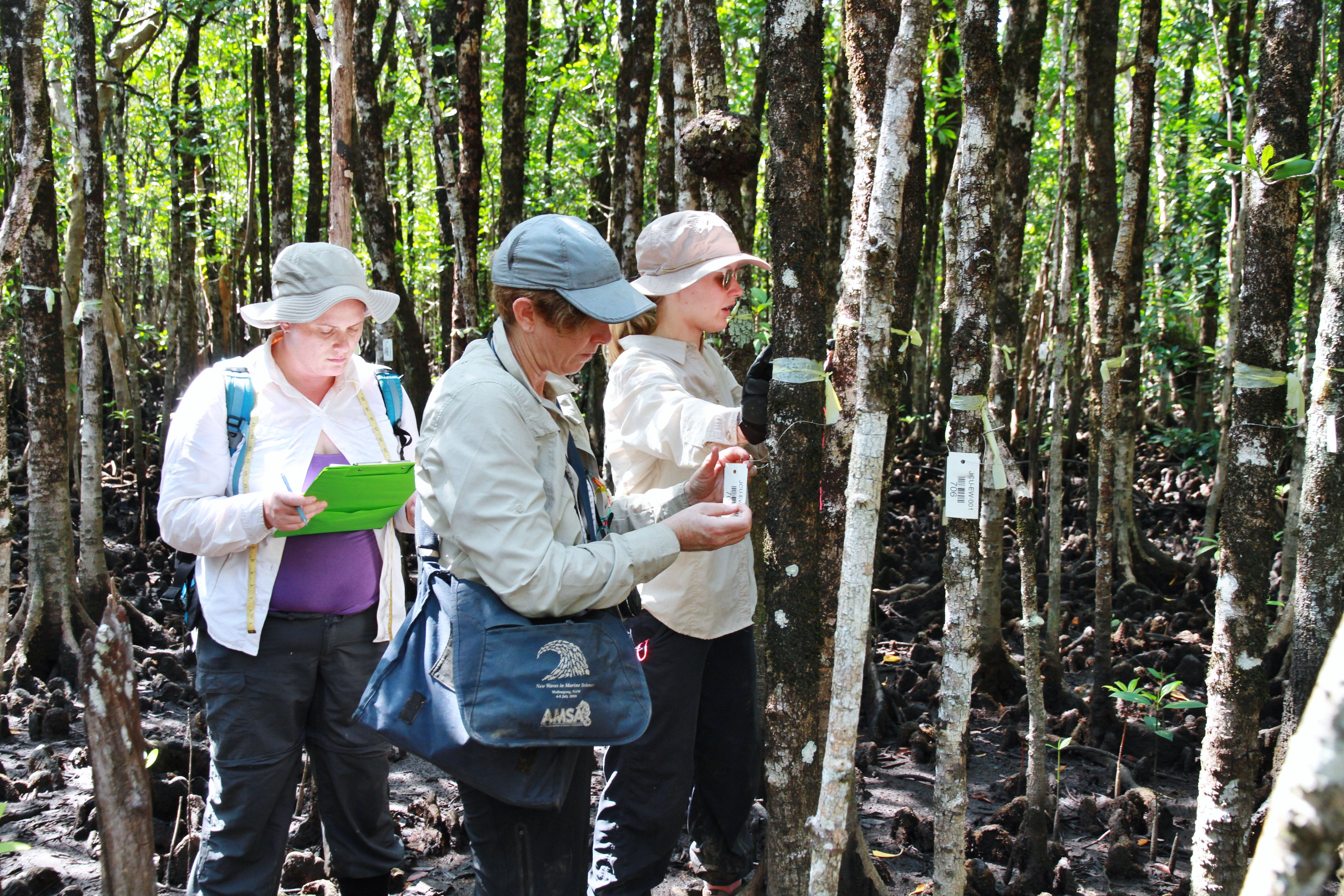 Wetlands field work 3