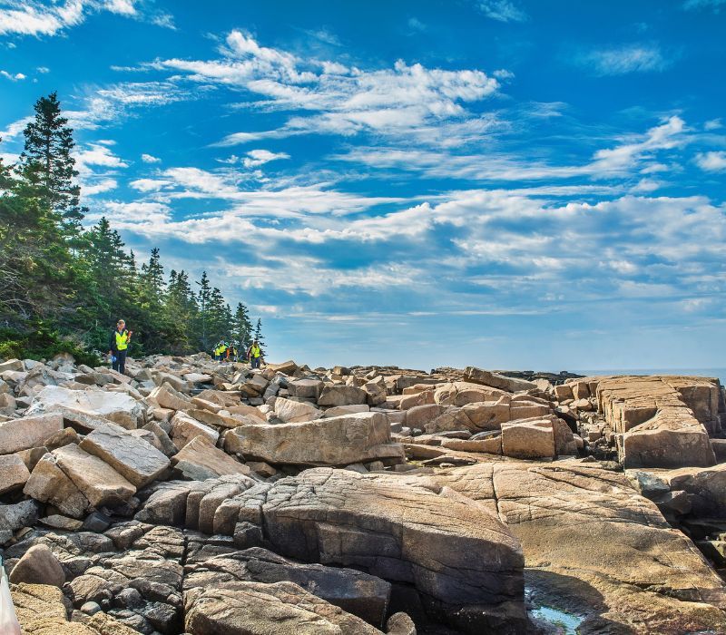 Photo of the Climate Change: Sea to Trees at Acadia National Park