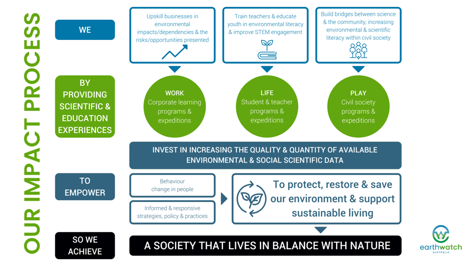 our impact process