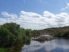 coastal habitat landscape