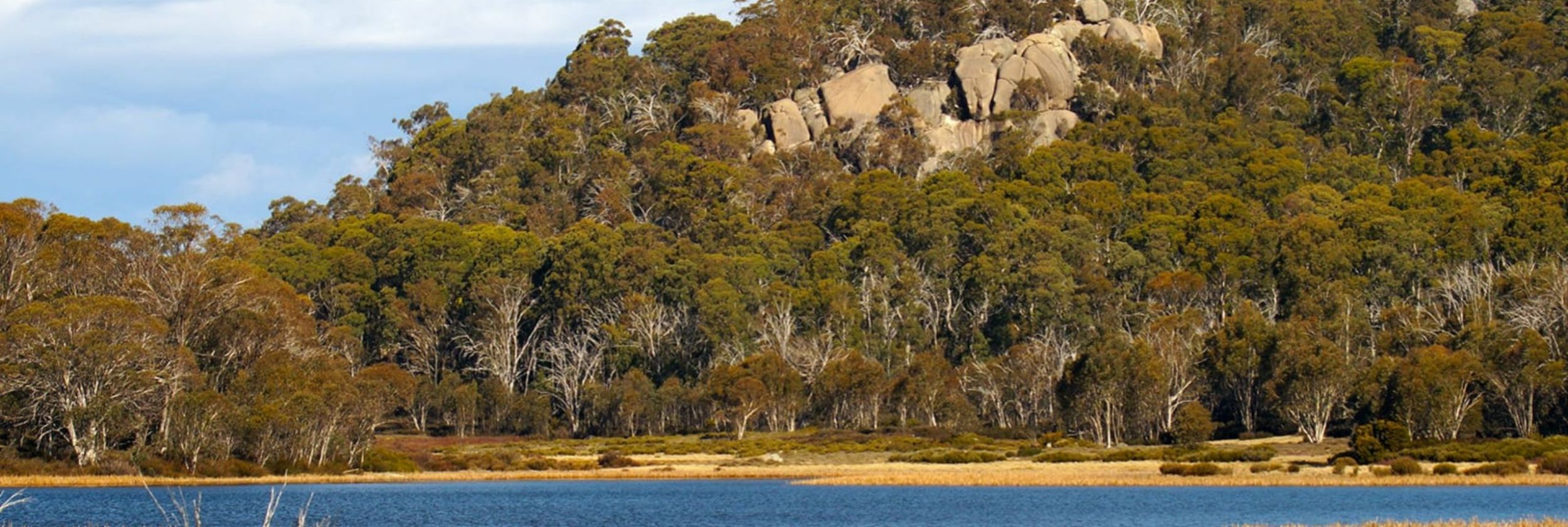 New Mount Buffalo ClimateWatch trail hero