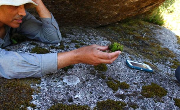 New species discovered on Bush Blitz ACT