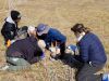 group of participants helping wildlife