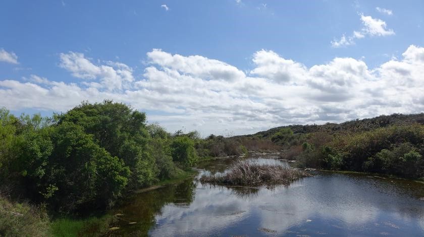 coastal habitat landscape