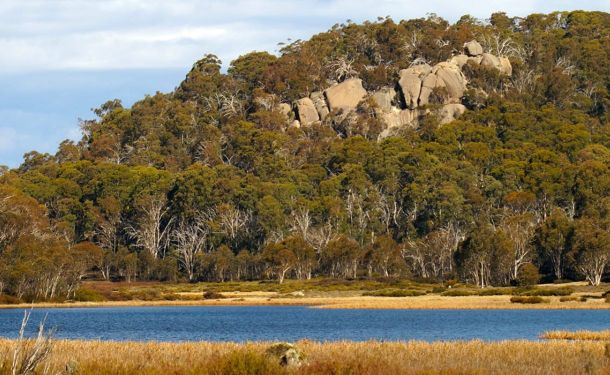 New Mount Buffalo ClimateWatch trail