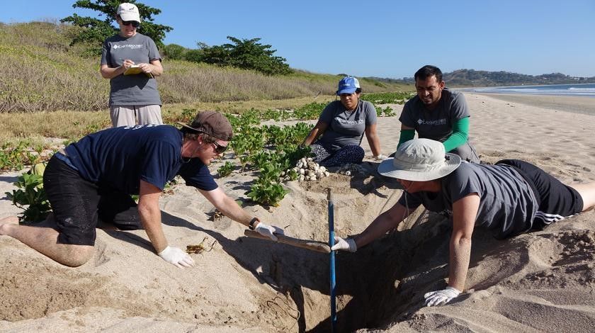 digging on beach