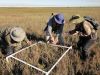 participants conducting field surveys