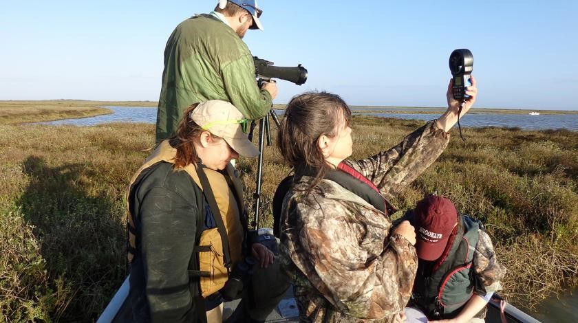 participants surveying coastal area