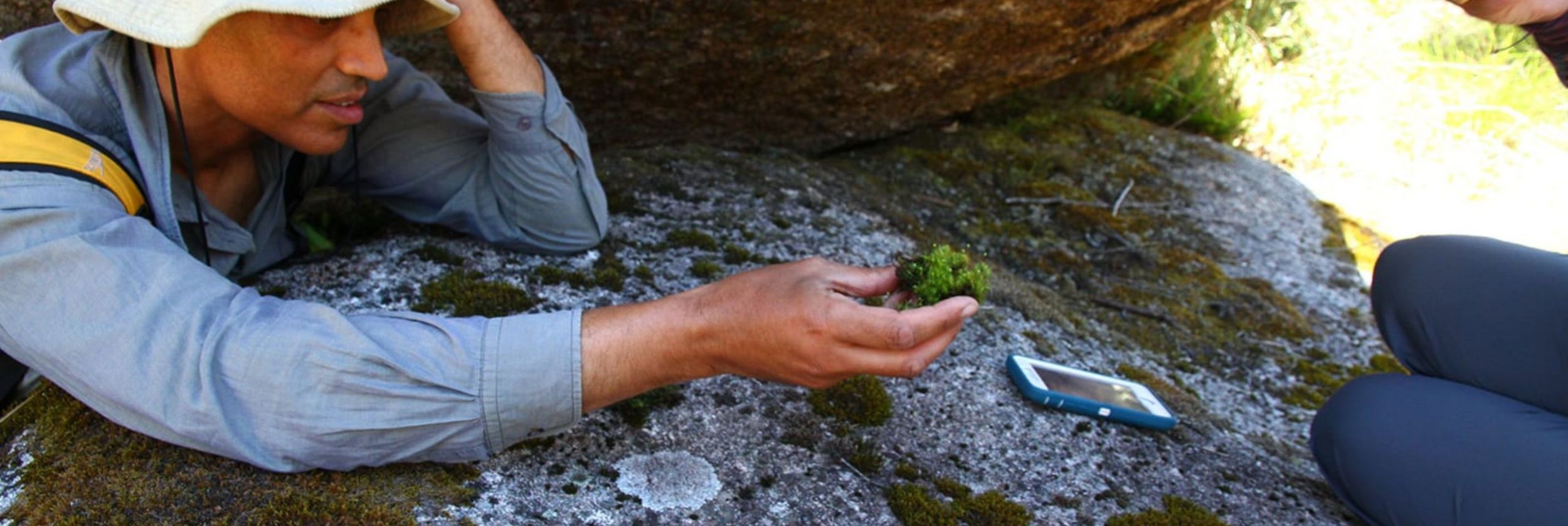 New species discovered on Bush Blitz ACT