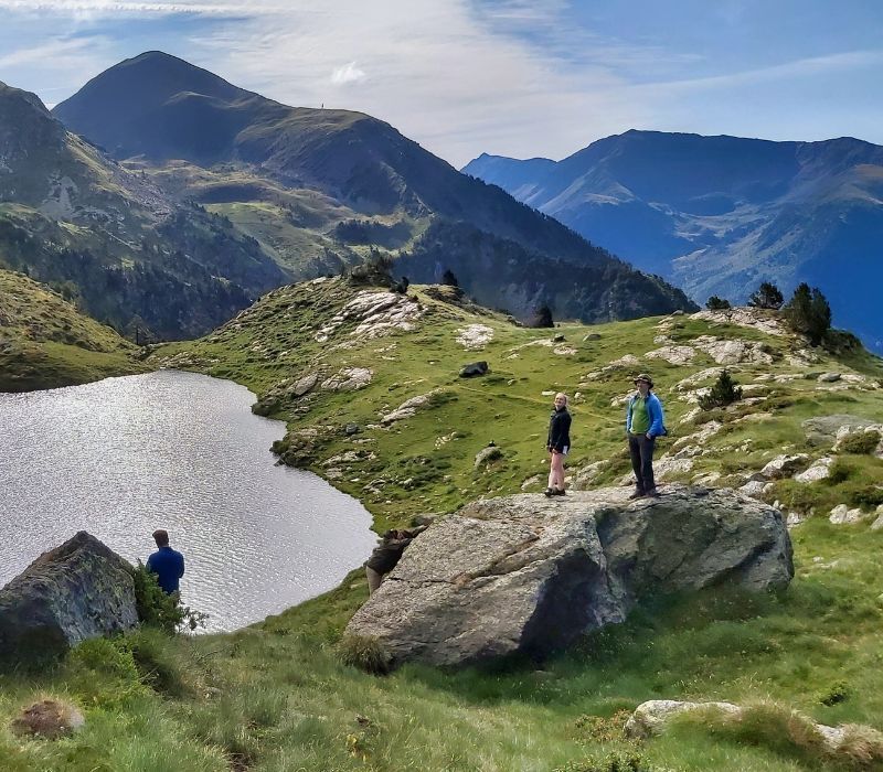 Wildlife in the Changing Andorran Pyrenees